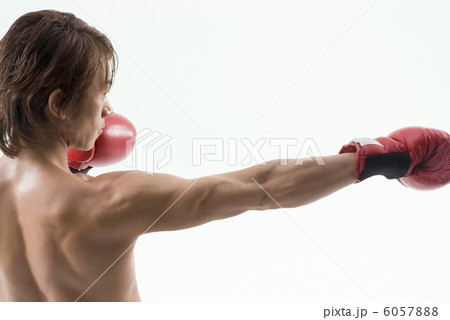 ボクサー 6057888