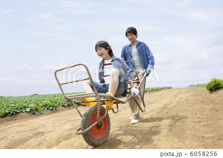 一輪車に息子を載せて畑を走る父 一輪車に息子を載せて畑を走る父 6058256