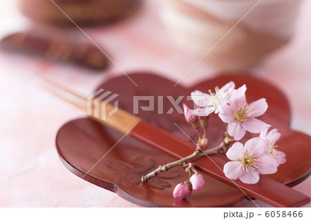 桜の花と串 6058466