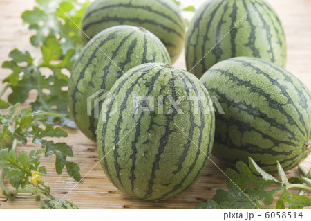 小玉スイカ 6058514