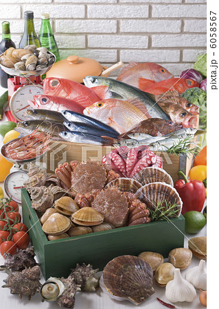 鮮魚集合イメージ 6058567