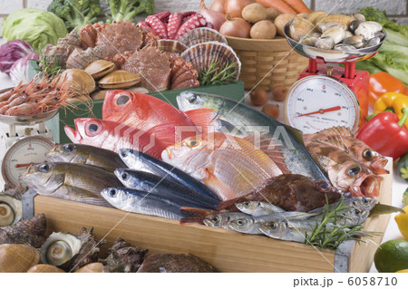 鮮魚集合イメージ 6058710