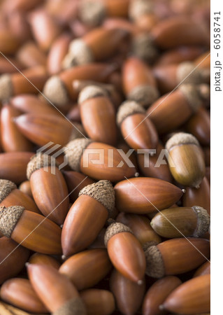 どんぐり 6058741