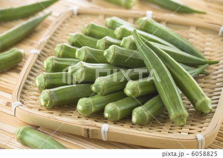 オクラ オクラ 6058825