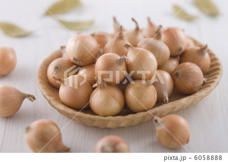 ペコロス 6058888