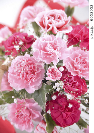 母の日イメージ 6058952