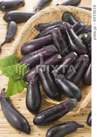 茄子 6059016