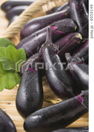 茄子 6059149