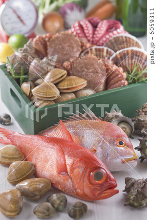 鮮魚集合イメージ 6059311
