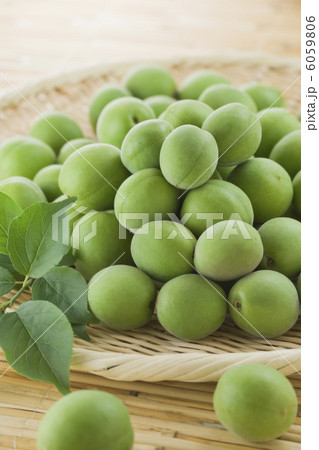 青梅 6059806