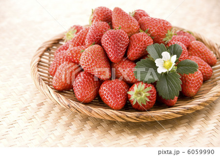 苺 6059990