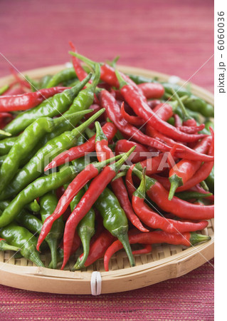 唐辛子 6060036