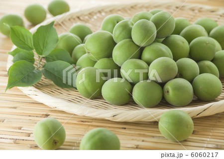 青梅 6060217