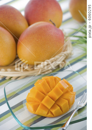 アップルマンゴー 6060295
