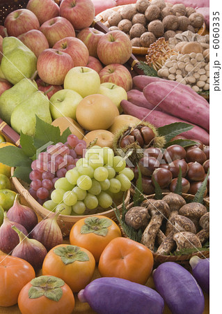 秋の農作物 秋の農作物 6060335