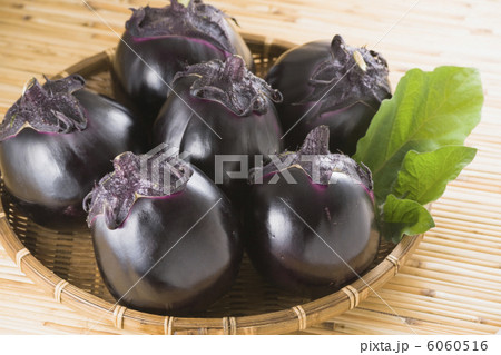 丸茄子 丸茄子 6060516