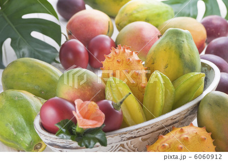 トロピカルフルーツ 6060912
