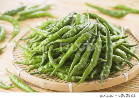 青唐辛子 6060933