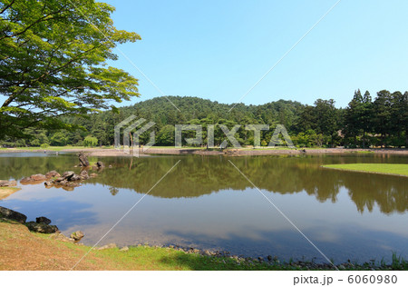 世界遺産　平泉 毛越寺浄土庭園 6060980