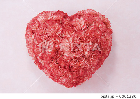 母の日イメージ 6061230