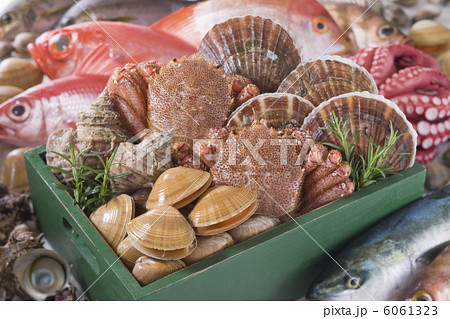 鮮魚集合イメージ 6061323