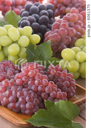 葡萄集合 葡萄集合 6061370