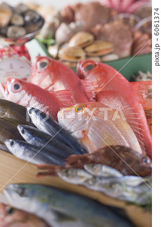 鮮魚集合イメージ 6061374