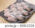 サワラ 6061526