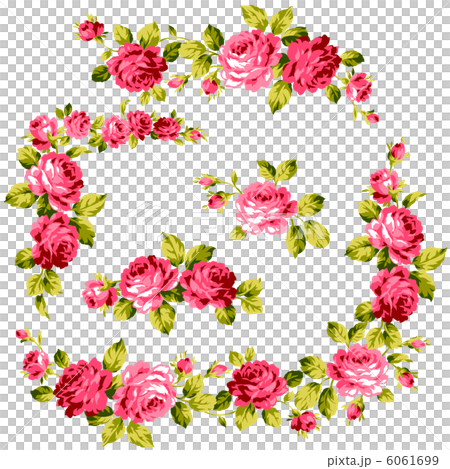 Box ruled rose 6061699