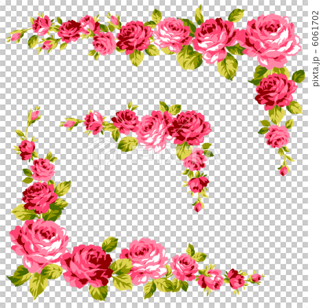 Box ruled rose - Stock Illustration [6061702] - PIXTA