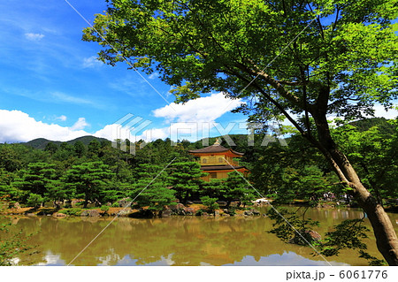 金閣寺 金閣寺 6061776