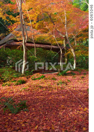 秋の祇王寺 6065046