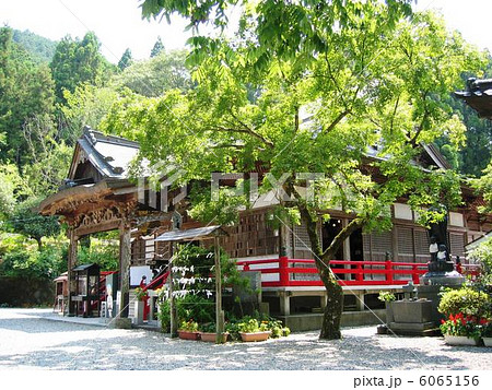 四国８８カ所霊場の第３７番岩本寺 6065156