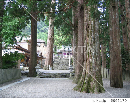 四国８８カ所霊場の第１２番焼山寺 6065170