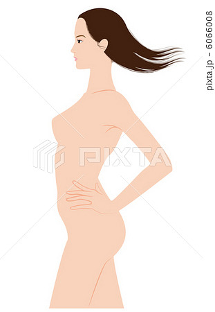 ボディライン ボディライン 6066008