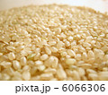 玄米 6066306