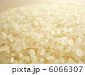 精米した米 6066307