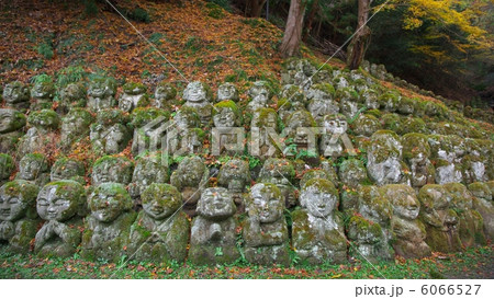 愛宕念仏寺 6066527