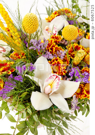 beautiful flowers in the basket 6067525