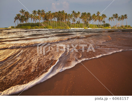 Tropical beach Tropical beach 6068157
