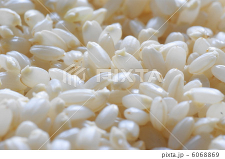 発芽玄米 6068869