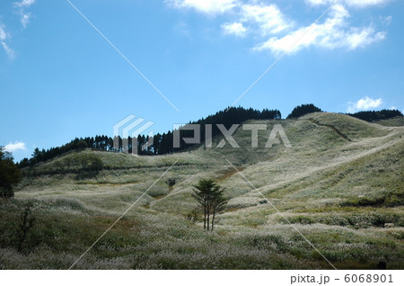 砥峰高原 6068901