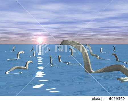 年賀状(海) 6069560