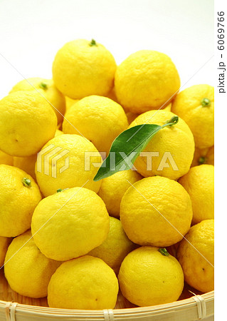 ゆず大盛 6069766