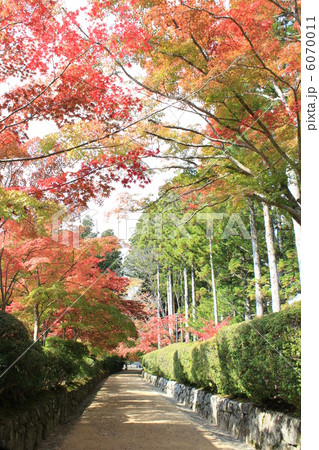 和歌山県　高野山の蛇腹道と紅葉 6070011