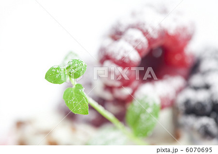 muffin with whipped cream,mint, raspberries, blackberries and nu 6070695