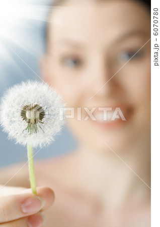 dandelion in hand 6070780