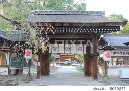 平野神社 6070875