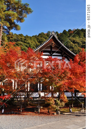 永観堂　鶴寿台２ 6071065