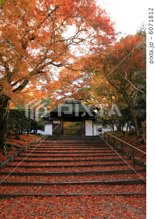 安楽寺 安楽寺 6071812